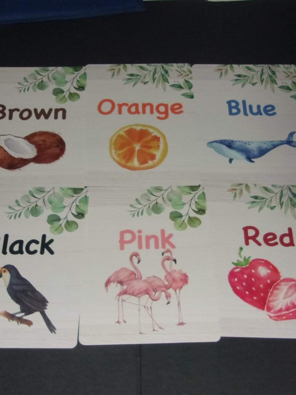 Large Collection Of Educational Cards For Early School Learning